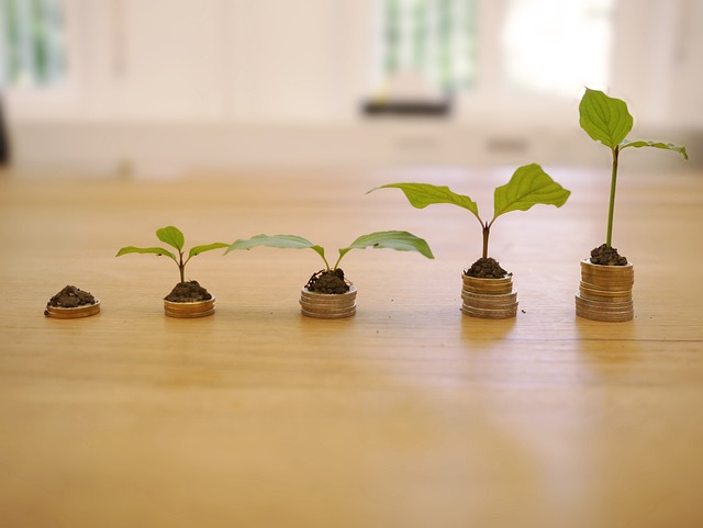 How to Balance Interest Rate, Cash Needed, and Monthly Payment
